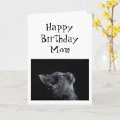 Jemand, den ich auf Mama Birthday Animal Spaß scha Karte (Gelbe Blume)