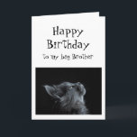 Jemand, den ich zu Brother Birthday Animal Spaß sc Karte<br><div class="desc">Jemand,  den ich zu Brother Birthday Animal Spaß schaue Es gibt viel Platz,  um Ihre eigene Nachricht hinzuzufügen</div>