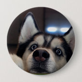 Jemand dort draussen? button (Vorderseite)