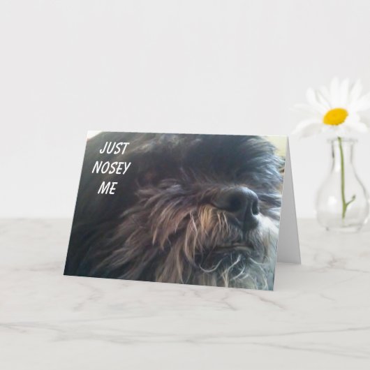 JEMAND FRAGE: "DU BIST 50?" FUN BIRTHDAY CARD KARTE (Kleine Pflanze)