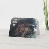 JEMAND FRAGE: "DU BIST 50?" FUN BIRTHDAY CARD KARTE (Vorderseite)