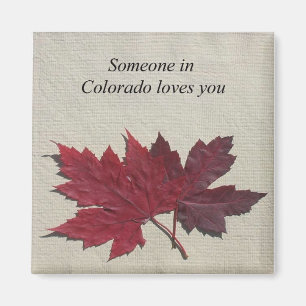 Jemand in Colorado-Lieben Sie Magnet