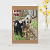 JEMAND "SEHR BESONDERS" HAT EINEN **GEBURTSTAG** KARTE (Gelbe Blume)