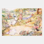 Jemima Puddle Duck geht mit Herrn Fox spazieren Geschenkpapier Set (Vorderseite 2)