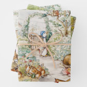 Jemima Puddle und Duck Peter der Rabbit Mix Geschenkpapier Set (Beispiel)