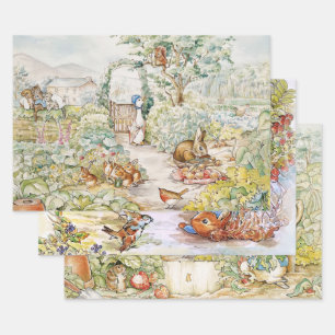 Jemima Puddle und Duck Peter der Rabbit Mix Geschenkpapier Set
