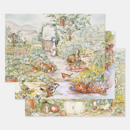 Jemima Puddle und Duck Peter der Rabbit Mix Geschenkpapier Set (Set)