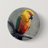 Jenday Conure Abzeichen Button (Vorderseite)
