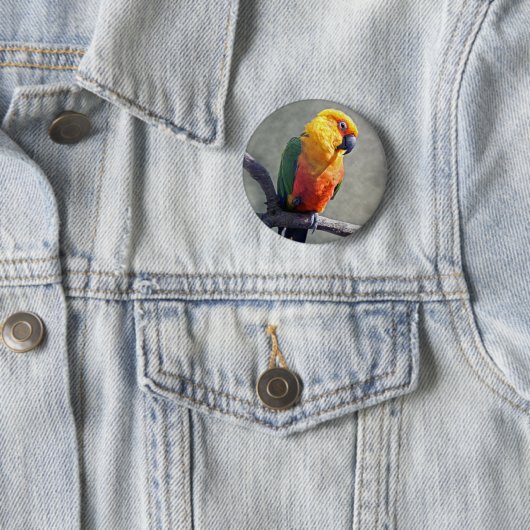 Jenday Conure Abzeichen Button (Beispiel)