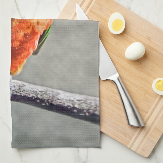 Jenday Conure Geschirrtuch (Viertel Falte)