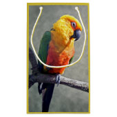 Jenday Conure Gift Bag Kleine Geschenktüte (Rückseite)