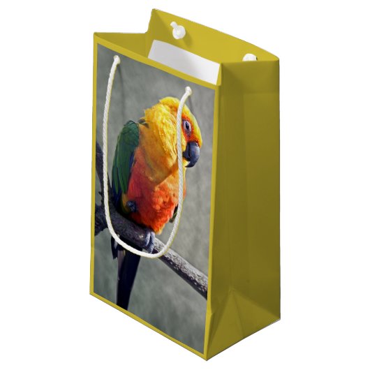 Jenday Conure Gift Bag Kleine Geschenktüte (Vorderseite Schrägansicht)