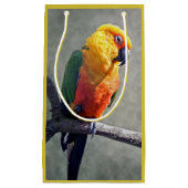 Jenday Conure Gift Bag Kleine Geschenktüte (Vorderseite)