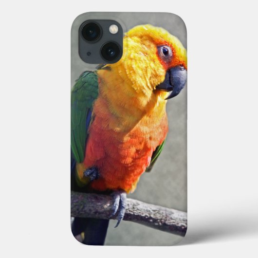 Jenday Conure iPad Case (Rückseite)