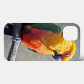 Jenday Conure iPad Case (Rückseite (Horizontal))