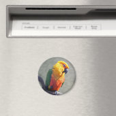 Jenday Conure Magnet (In Situ (Geschirrspüler))