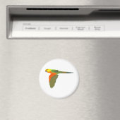 Jenday Conure Magnet (In Situ (Geschirrspüler))