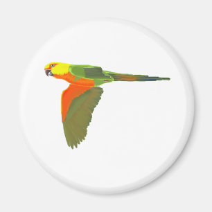 Jenday Conure Magnet