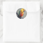 Jenday Conure Sticker (Tasche)