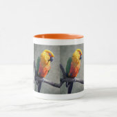Jenday Conure Tasse (Zentrum)