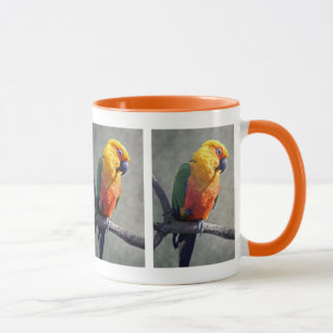 Jenday Conure Tasse