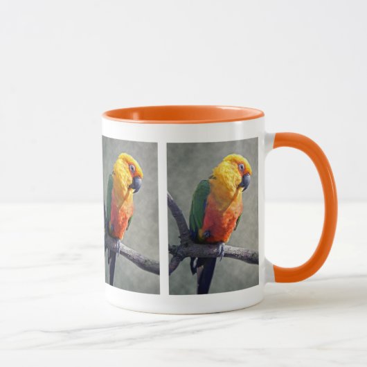 Jenday Conure Tasse (Rechts)