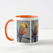 Jenday Conure Tasse (Links)