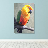 Jenday Conure Wrapped Canvas Leinwanddruck (Insitu (Holzboden))