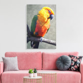 Jenday Conure Wrapped Canvas Leinwanddruck (Insitu (Wohnzimmer))