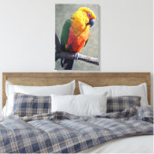 Jenday Conure Wrapped Canvas Leinwanddruck (Insitu (Schlafzimmer))