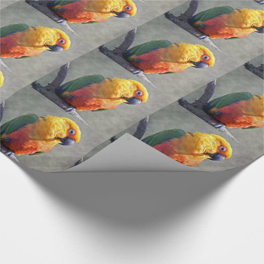 Jenday Conure Wrapping Paper Geschenkpapier (Ecke)