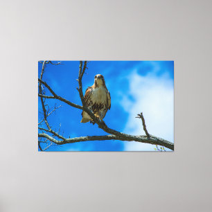 JENE AUGEN 60 X 40 UMWICKELTER LEINWANDDRUCK
