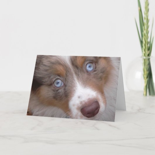 Jene Augen Karte (Vorderseite)