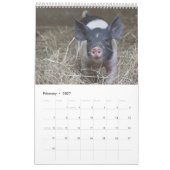 Jene Ferkel - 2017 Tier-Wandkalender Kalender (Feb 2027)