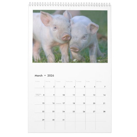 Jene Ferkel - 2017 Tier-Wandkalender Kalender (Mär 2026)