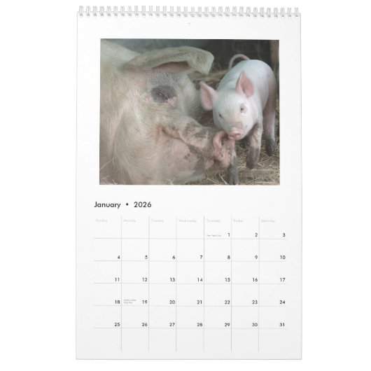 Jene Ferkel - 2017 Tier-Wandkalender Kalender (Jan 2026)