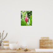 Jengibre rosado (rosa Ingwer) Poster (Küche)