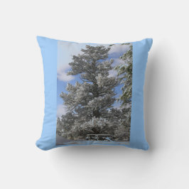 Jennifer Lakes Foto Pillows Kissen