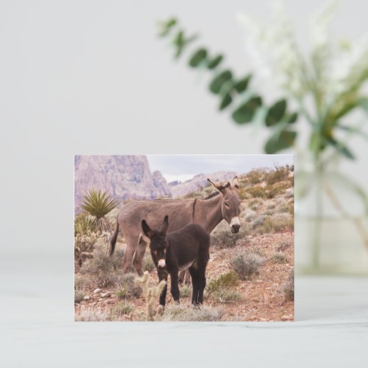 Jenny's Foal Postkarte (Stehend Vorderseite)