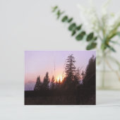 Jenseits der Bäume......Postkarte Postkarte (Stehend Vorderseite)