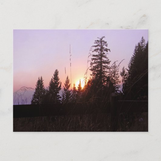 Jenseits der Bäume......Postkarte Postkarte (Vorderseite)