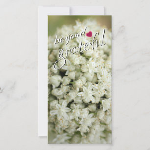 Jenseits der dankbaren großen Flat Dankbarkeit Kar Dankeskarte