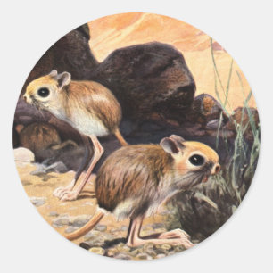 Jerboa T-Shirts und Geschenke Runder Aufkleber