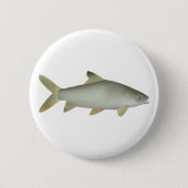 Jerdon's Carp Button (Vorderseite)
