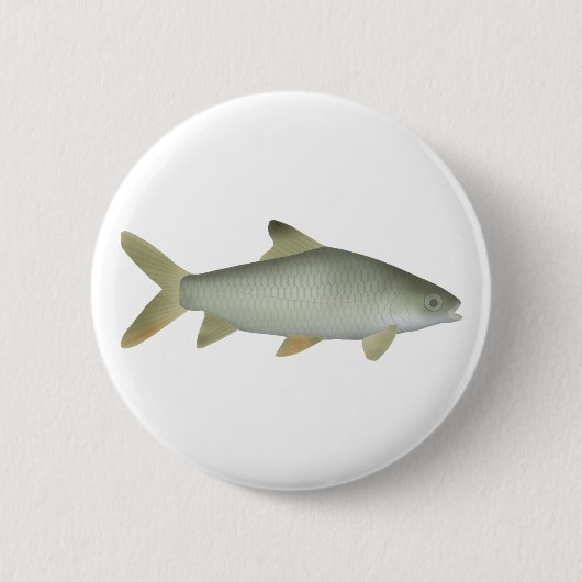 Jerdon's Carp Button (Vorderseite)