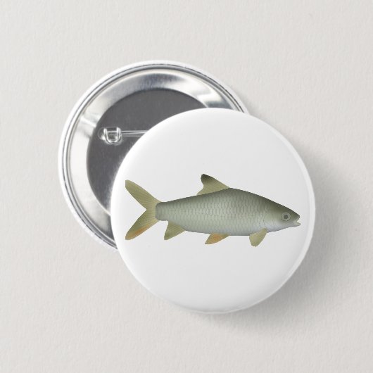 Jerdon's Carp Button (Vorne & Hinten)