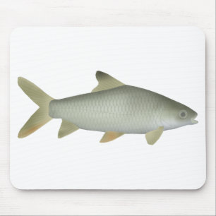 Jerdon's Carp Mousepad