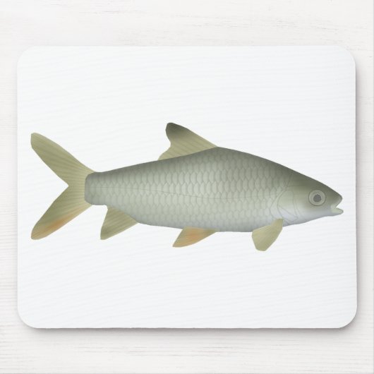 Jerdon's Carp Mousepad (Vorne)