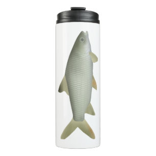 Jerdon's Carp Thermosbecher