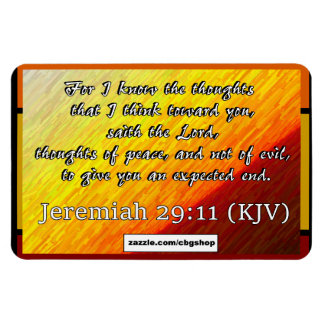 Jeremia 29:11 magnet